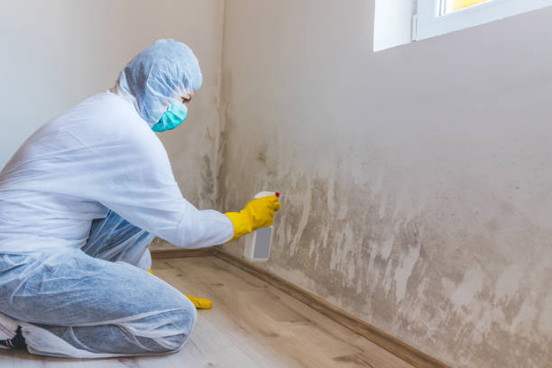 Hvac And Air Duct Mold Remediation inspection of HVAC system in West Hempstead